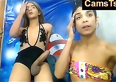 sexy brazilian tgirl gets her penis licked