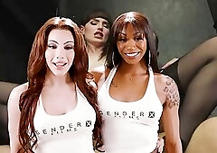 Married Trans Hotties Throw Epic Orgy Party -  GenderXFilms