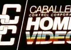 Excellent classics with many stars like Lynx Cannon, Kathy Kay, Gail Sterling and Anna Pierce. Well, and lads banging likewise - Don Fernando and Hers