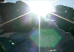 Hairy bear and cub mating in wild nature