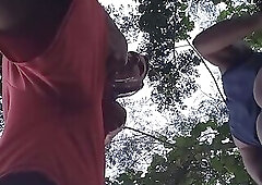 Cruising in the Woods