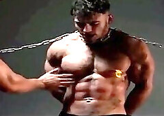 Capture Handsome Muscle Hunk