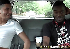 Black Grizzly Rides Sphincter