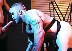 Sucks, leather, anal